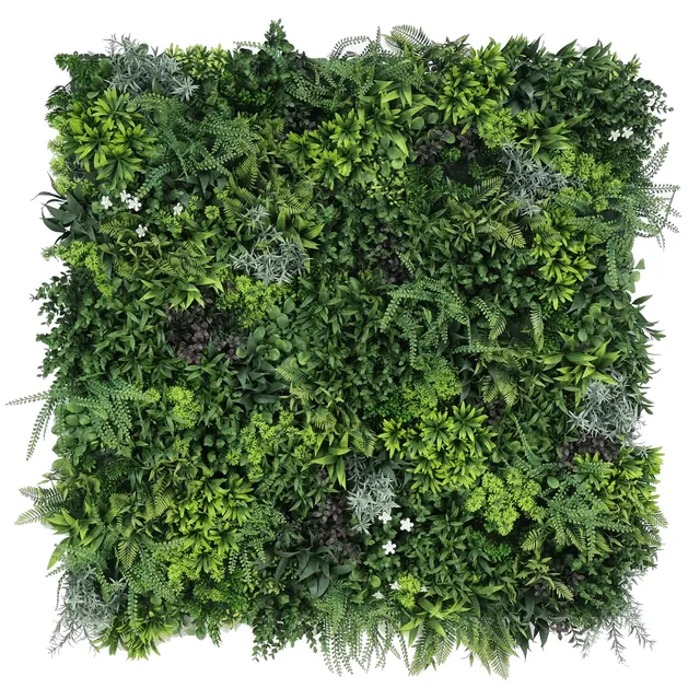 Växtpanel, Lush Bora Bora